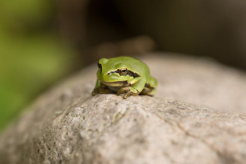 Was ist los? von Be-eR fotografeert