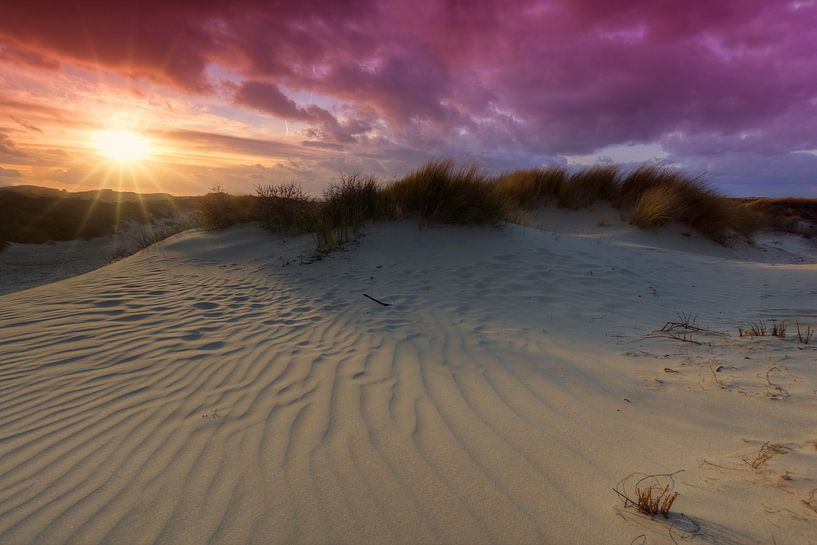 Sunset in the dunes of the Westduinpark near Kijkduin by Rob Kints