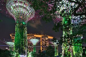 Die Supertrees werden grün