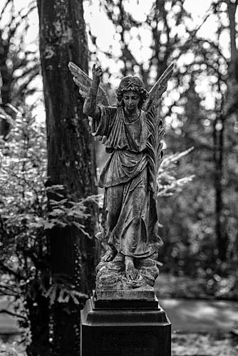 Accompagnement silencieux