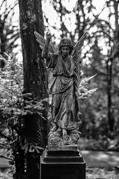 Stille Begleitung von Thomas Riess