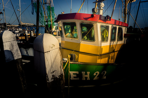 Morning light in the harbour