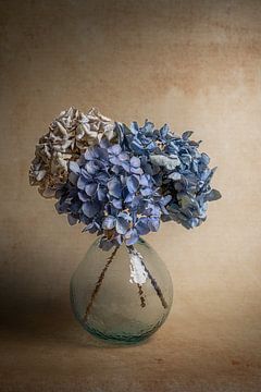 Modern stilleven met hortensia bloemen staand van John van de Gazelle fotografie