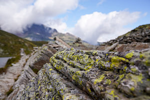 Sommerliche Berglandschaft in der Schweiz mit grünen Almen und markanten Gipfeln.
