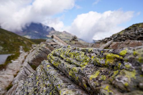 Zomers berglandschap in Zwitserland met groene alpenweiden en markante bergtoppen.