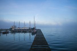 Ein nebliger Morgen am Schildmeer von Alexander van der Molen