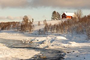 Winter auf der Insel Senja, Norwegen
