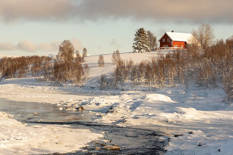 Winter on Senja Island, Norway by Adelheid Smitt