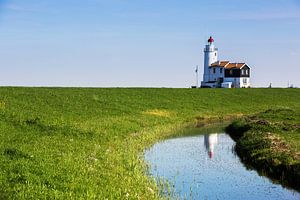 Paard van Marken
