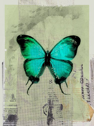 De turquoise vlinder