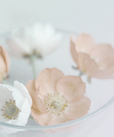 Soft Pastel Flowers