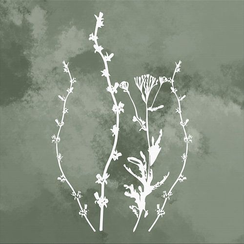 Nuvole di Prato. Abstract botanisch minimalistisch in luchtig gebladerte retrogroen