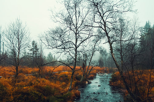 The High Fens in autumn by Dirk Wüstenhagen