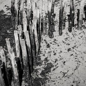 Vertical silence by Sacred by Wendy – fine art fotografie