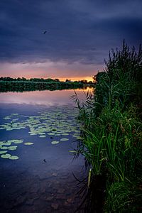 Rustiek landschap