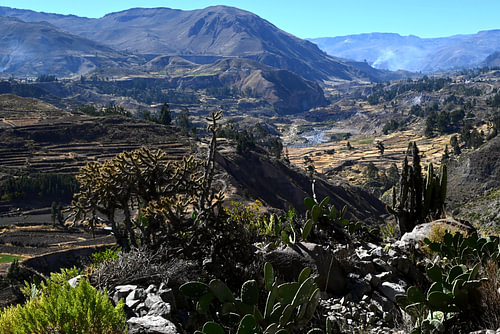 PERU 13