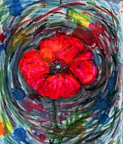 Klaproos wilde aquarel