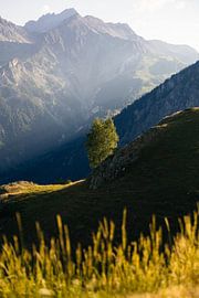 Evening Light in the Mountains – Chamonix by Tim Visual Storyteller