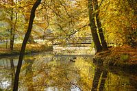 Vijver in de herfst