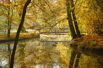 Pond in autumn by Michel van Kooten