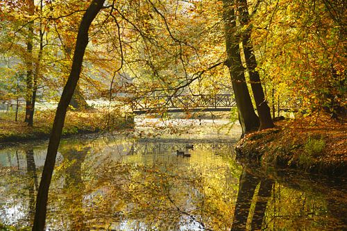 Pond in autumn