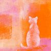 Chat blanc sur fond orange sur Karen Kaspar