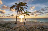 Pink Beach Bonaire van Yvonne Oosting thumbnail