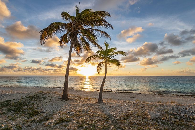 Pink Beach Bonaire van Yvonne Oosting