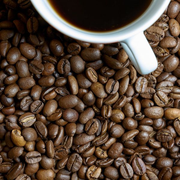 des grains de café fraîchement torréfiés et une tasse de café sur une table de cuisine par Heiko Kueverling