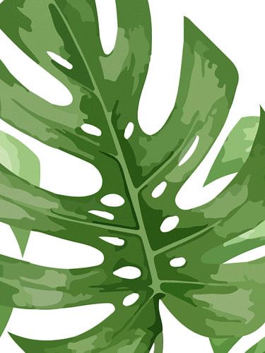 Monstera als Triptychon (2 von 3) von AidasignArt