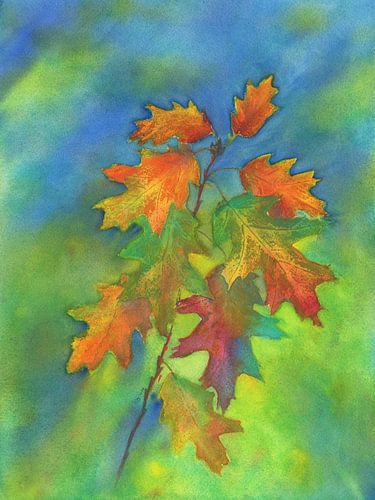 Tak met kleurrijke eikenbladeren