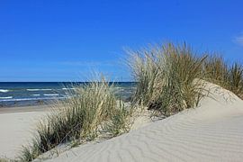 Sandwellen im Mai von Ostsee Bilder
