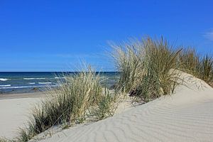 Sandwellen im Mai