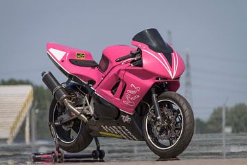 Roze Honda CBR 600 F Supersport in racetrim van Joost Winkens