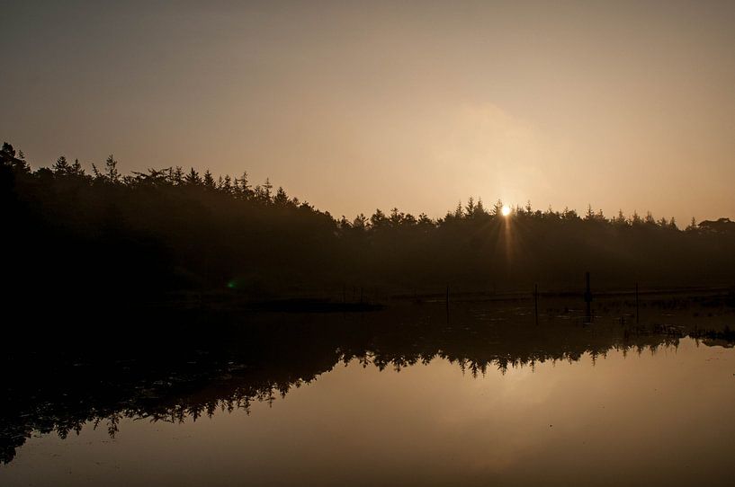 Reflections von Ruud Langendijk