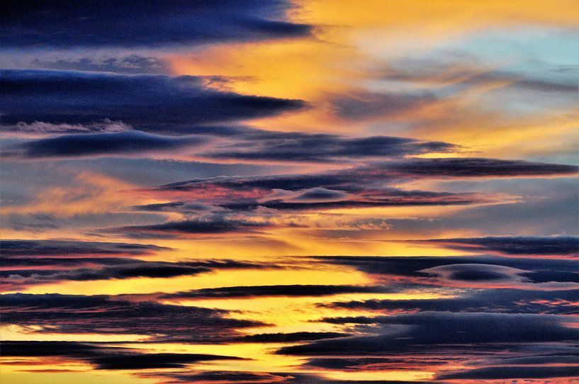 Amarillo by Fons Hayes