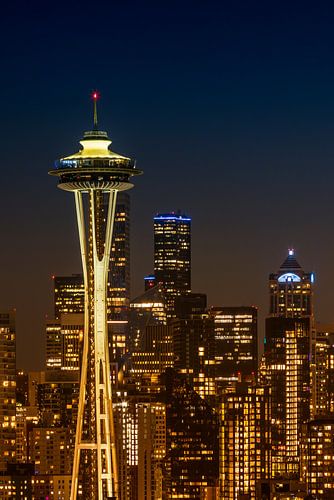 Prachtige skyline van Seattle bij nacht
