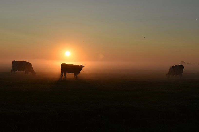 Sprookjesachtige zonsopkomst in de polder. van Shutterbalance