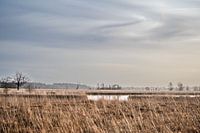 Winterheide