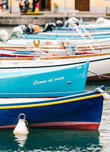 In the Harbor