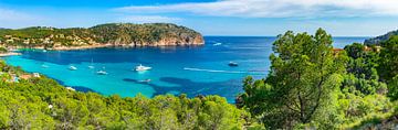 Camp de Mar, eiland Mallorca, Spanje van Alex Winter