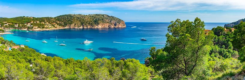 Camp de Mar, eiland Mallorca, Spanje van Alex Winter