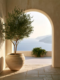 Mittelmeer-Olivenbaum mit Meerblick von IamHomeStudio