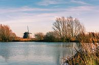 Hollandse molen aan het water van Erna Böhre thumbnail