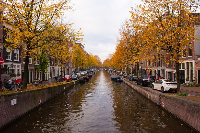Amsterdam von Brian Morgan