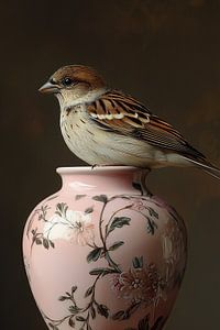 Spatz auf Rosa