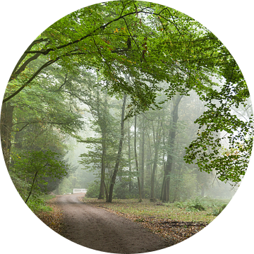 Laan naar Nieuw Amelisweerd