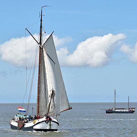 Deer brown fleet ship Spes Mea by Piet Kooistra