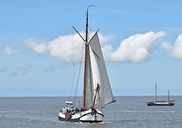 Het bruine vloot schip Spes Mea van Piet Kooistra
