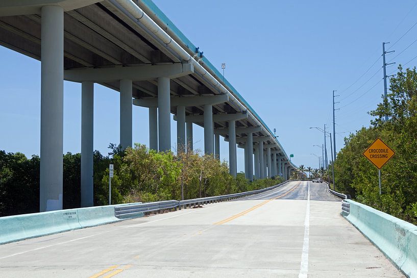 Crocodile Crossing - U.S. Highway 1 between Miami and Key West by t.ART